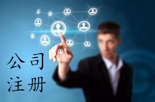 上海軟件公司注冊全攻略 流程、費(fèi)用與網(wǎng)絡(luò)技術(shù)服務(wù)指南